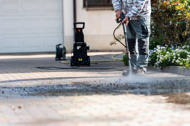 Best Roof Power Washing Services  in Elyria, OH