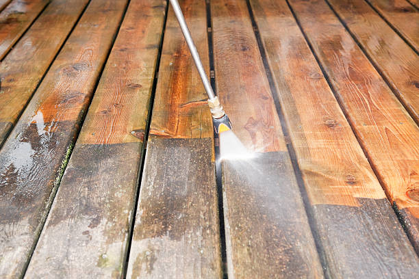 Best Roof Pressure Washing  in Elyria, OH