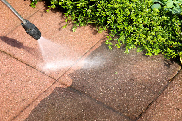 Best Pressure Washing Company Near Me  in Elyria, OH
